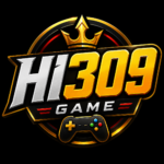 HI309 Game