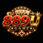 889U Game
